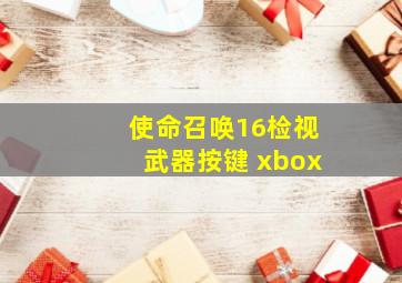 使命召唤16检视武器按键 xbox